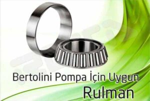 bertolini pompa rulman 300x202 - Bertolini Pompa - Rulman