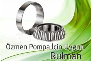 ozmen pompa rulman 300x202 - Özmen Pompa - Rulman