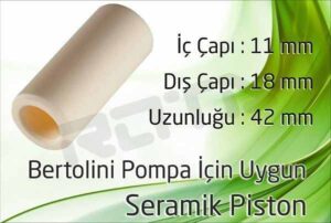 bertolini pompa seramik piston 1 300x202 - Bertolini Pump Plunger Piston