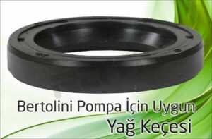 bertolini pompa yag kecesi 300x197 - Bertolini Pompa - Yağ Keçesi