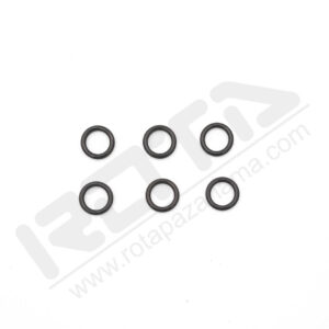 annovi reverberi piston kolu oring takimi 01 300x300 - Annovi Reverberi Piston Kolu Oring Takımı