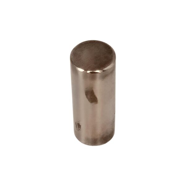 Annovi Reverberi Pompa Piston Kolu Montaj Pimi - Görsel 2