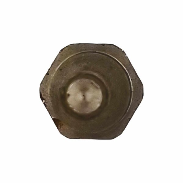 İnterpump Pompa Seramik Piston Civatası Ws - Görsel 4